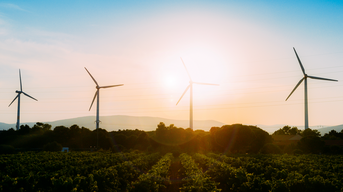 The Benefits of Co-Enzyme Q10