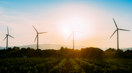 The Benefits of Co-Enzyme Q10